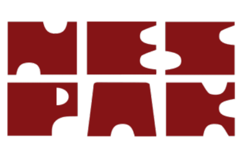 NES PAK - National Engineering Services Pakistan